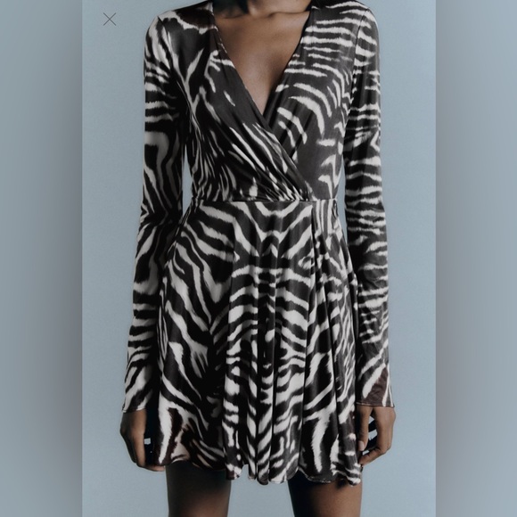 Flash Sale 🎉Zara - Zebra Printed Dress - Picture 2 of 8